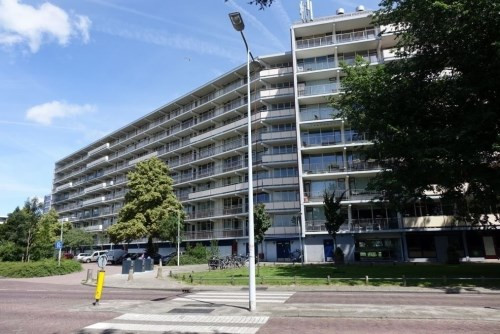 Arendshorst 0ong, 2317 CS Leiden, Nederland