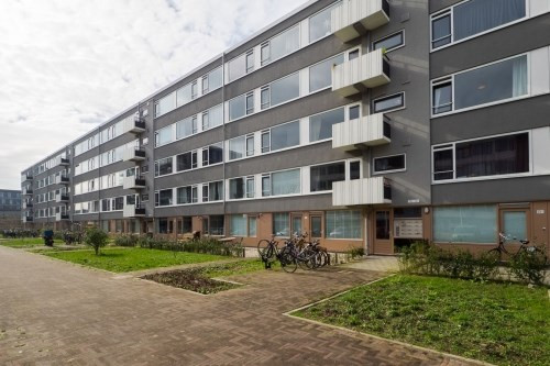 Auriollaan 0ong, 3527 Utrecht, Nederland