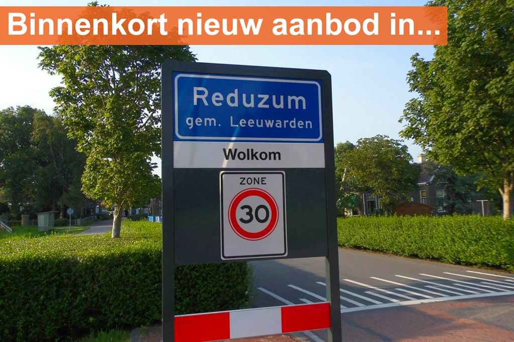 Ayttawei 7, 9008 SH Reduzum, Nederland