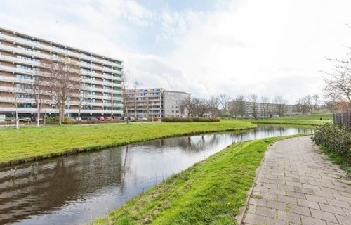 Cruquiuslaan 0ong, 2332 Leiden, Nederland