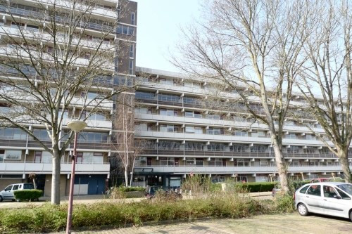 De Brink 0ong, 2553 Den Haag, Nederland