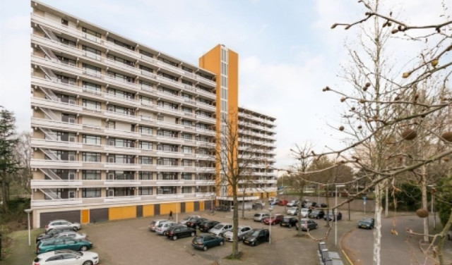 De Koppele 0ong, 5632 Eindhoven, Nederland