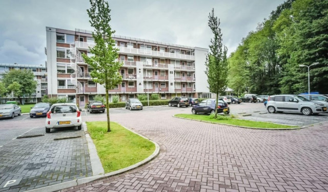 Leverkruidweg 0ong, 1508 WP Zaandam, Nederland