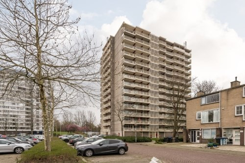 Octant 0ong, 3328 Dordrecht, Nederland