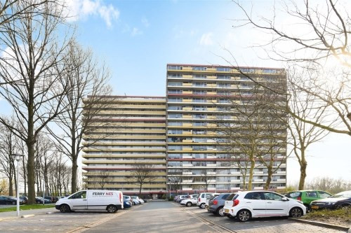 Oost Dorsch 0ong, 1504 Zaandam, Nederland