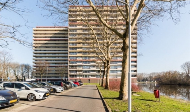 Oost Dorsch 0ong, 1504 Zaandam, Nederland