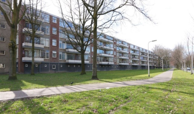 Predikherenlaan 0ong, 5042 Tilburg, Nederland