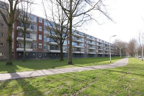 Predikherenlaan 0ong, 5042 Tilburg, Nederland