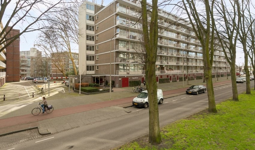 Volendamlaan 0ong, 2547 CH Den Haag, Nederland