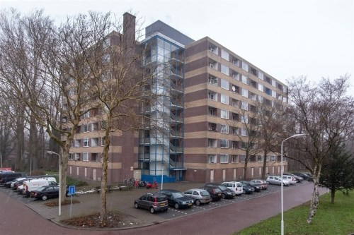 Fluitekruidweg 0ong, 1508 Zaandam, Nederland