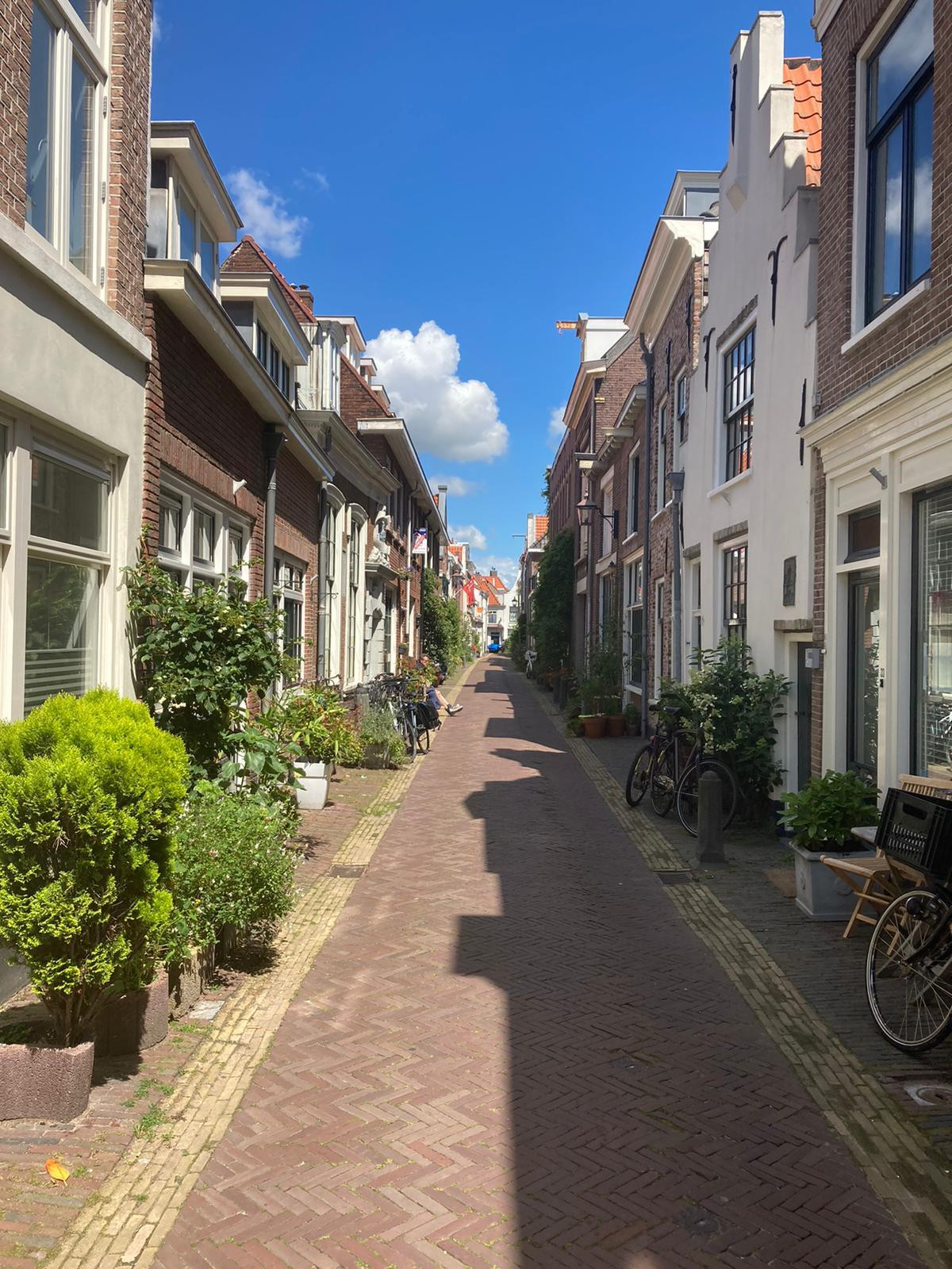 Haarlem vijfhoek : Woning voor delers (3 kamers) in leukste buurt van Haarlem