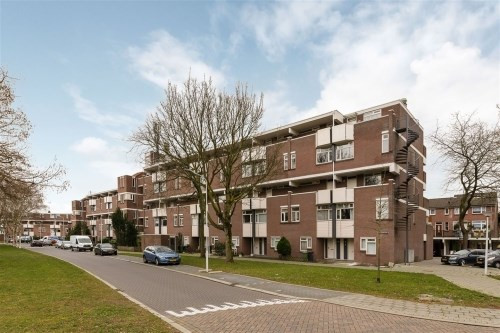 Hollandsch Diep 0ong, 1509 Zaandam, Nederland