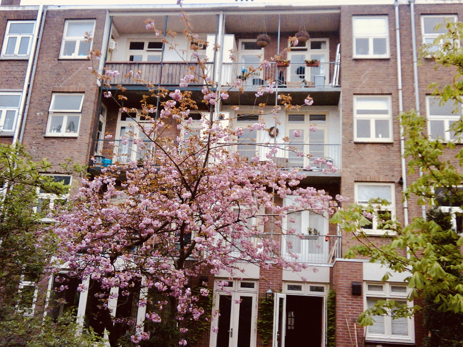 Prachtig gemeubileerd 3-kamer appartement met dakterras, gelegen in de IJselstraat in de  Rivierenbuurt