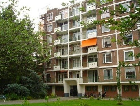 Ranonkelstraat 0ong, 2565 Den Haag, Nederland