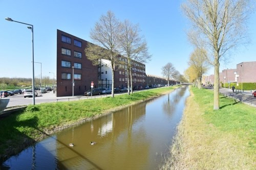 Snoekbaarssingel 0ong, 2492 MH Den Haag, Nederland