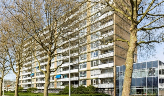 Van Vollenhovenlaan 0ong, 3527 Utrecht, Nederland