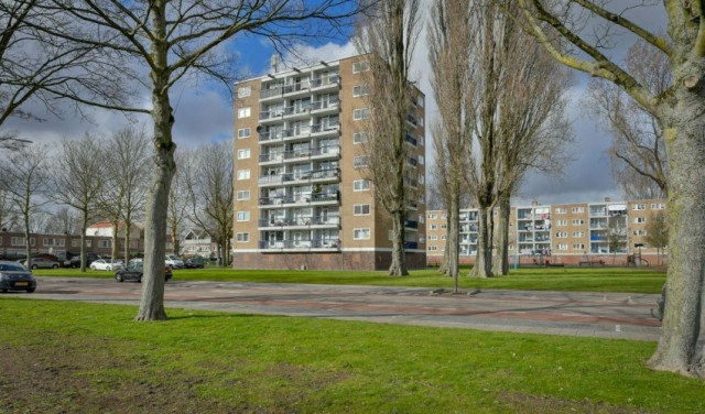 Zuidervaart 0ong, 1504 Zaandam, Nederland